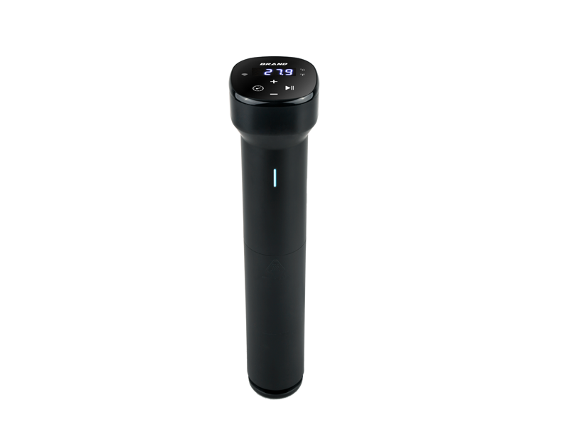 sous vide cooker for home
